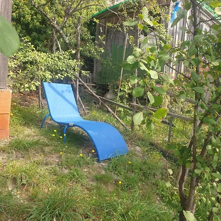 Holiday home Pace Tra Gli Ulivi E Il Mare *