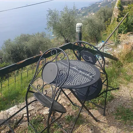 Pace Tra Gli Ulivi E Il Mare Holiday home *