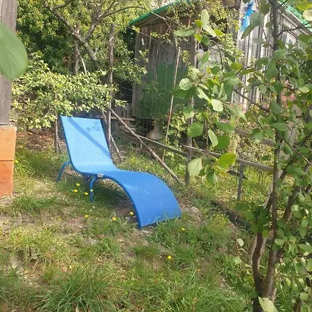 Pace Tra Gli Ulivi E Il Mare Holiday home Sori